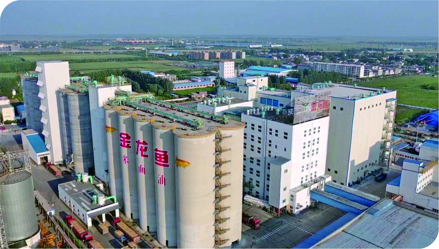 華泰承建益海嘉里油脂設(shè)備項目